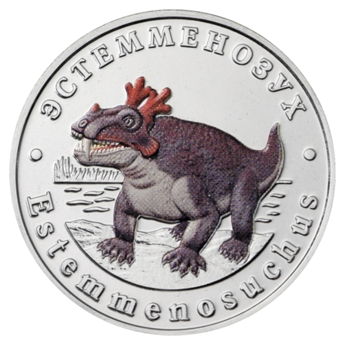 Лицевая сторона жетона