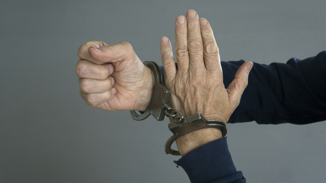    Николай Гингазов/Global Look Press