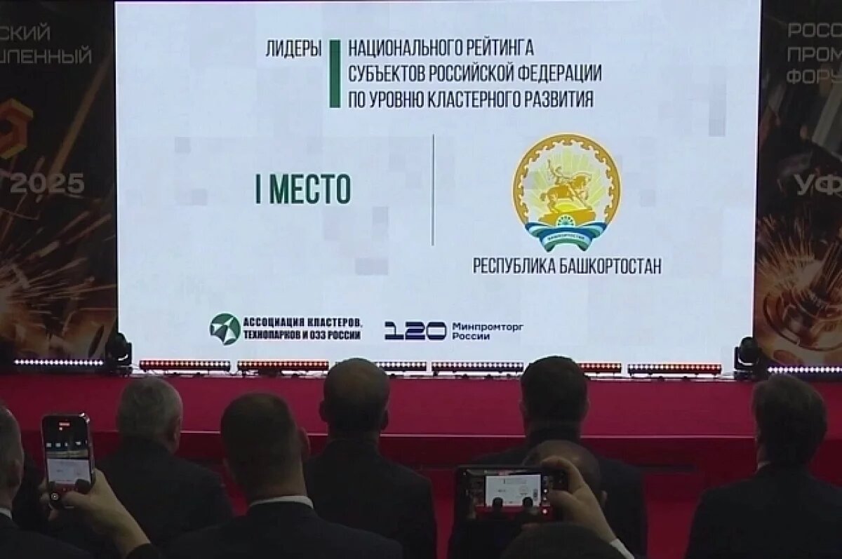    Башкирия возглавила рейтинг кластерного развития регионов России