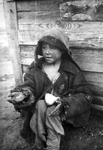 Фото из открытых источников.