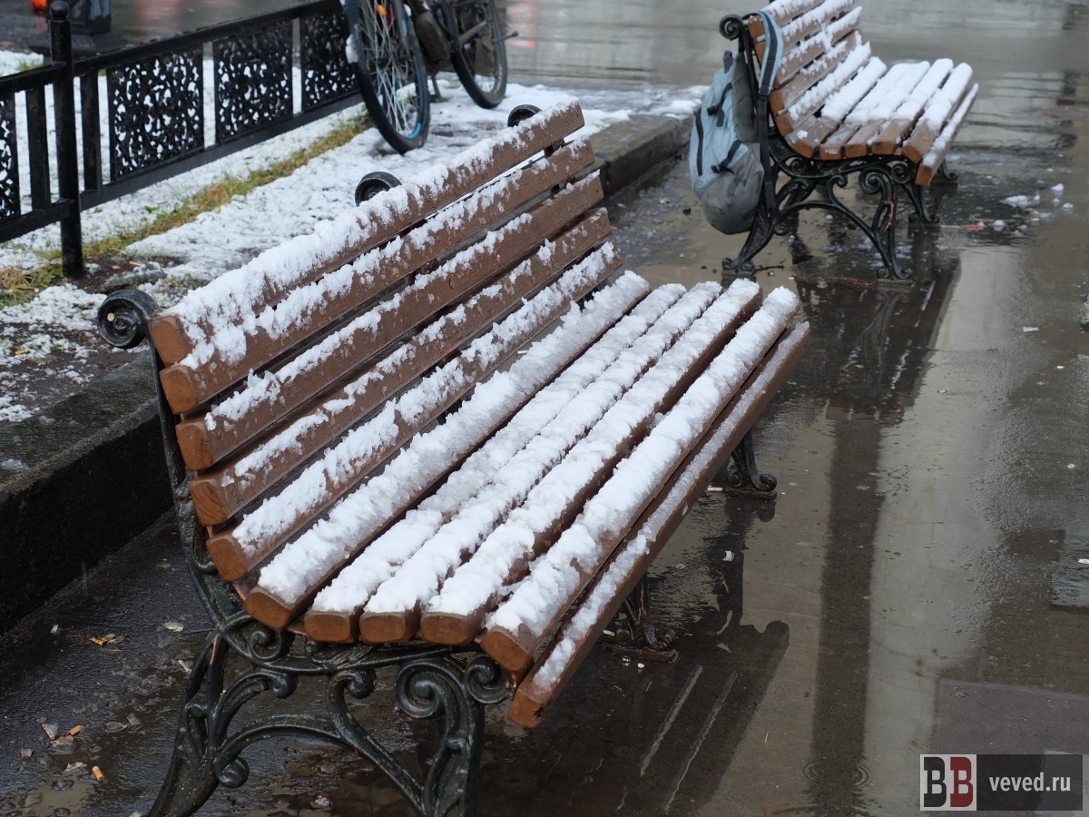    Фото: Владислав Постников / Вечерние ведомости
