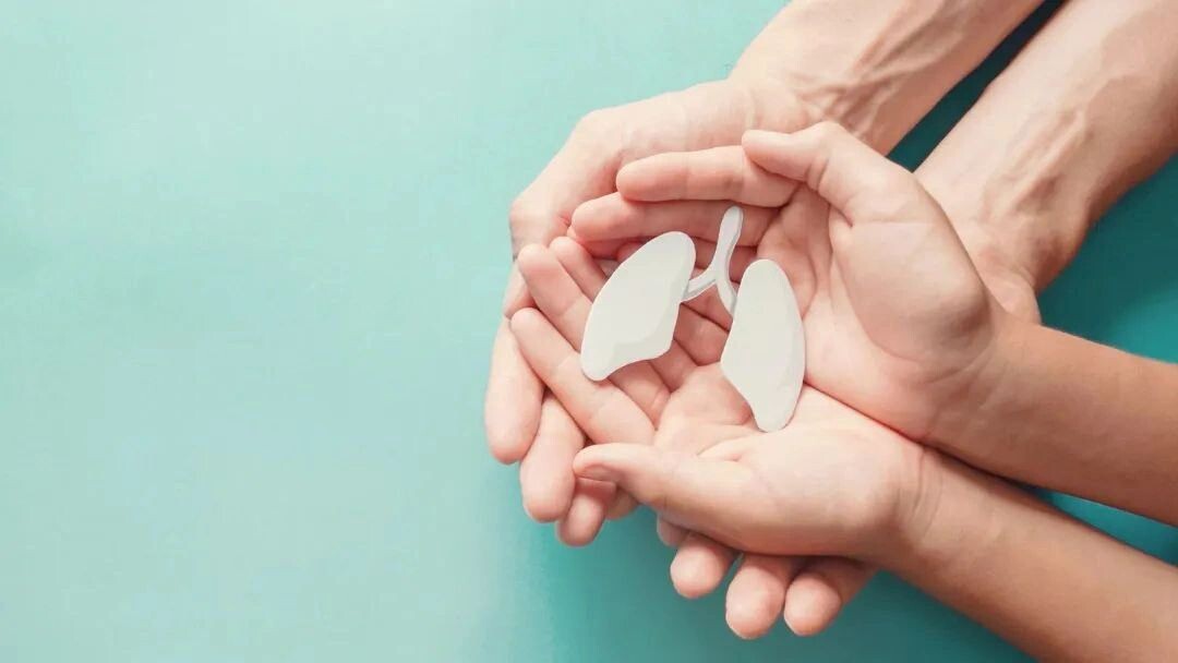    Фото: SewCreamStudio/Shutterstock/Fotodom