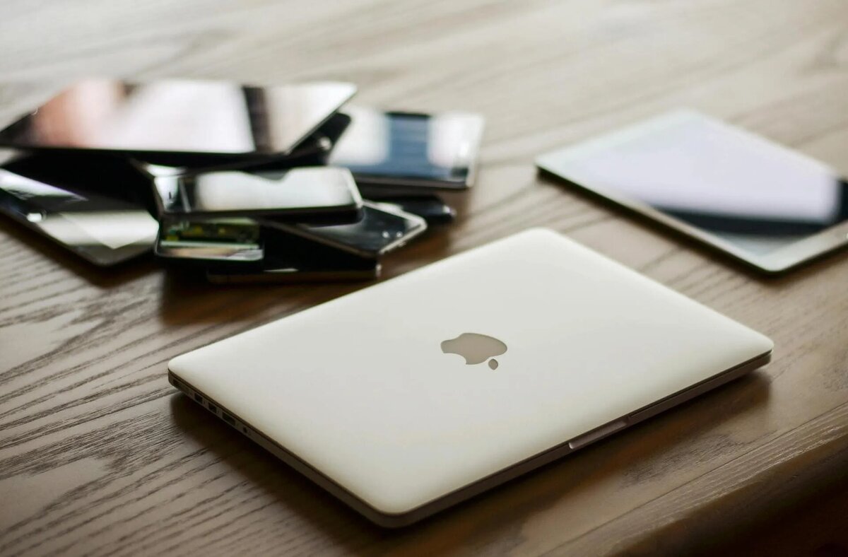 Фото: zorandraganov / pixabay.com