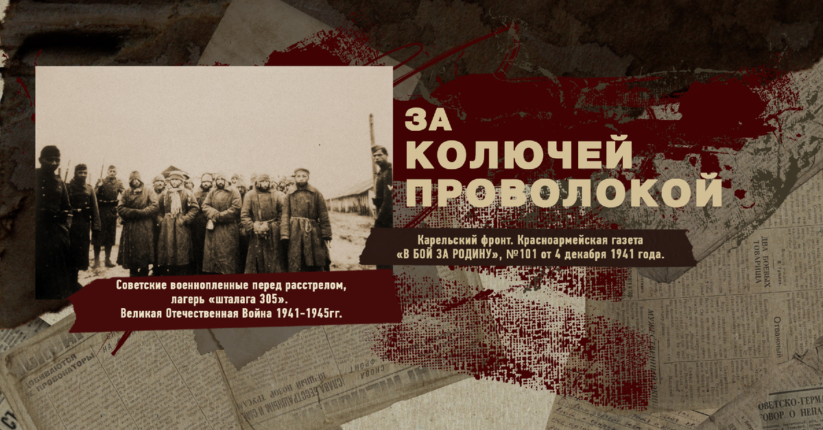 Великая Отечественная Война 1941-1945, Карельский фронт, Строки фронтовые, РУДН ПОИСК