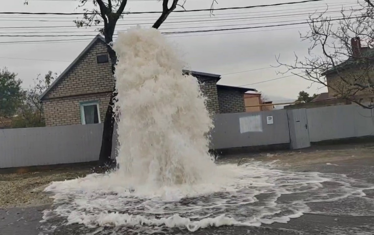    Фото «Кубань 24»