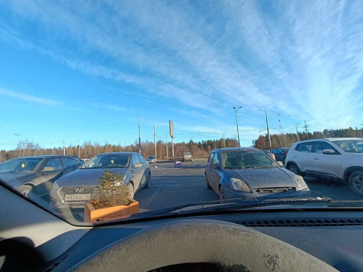 Солнышко вылезло 