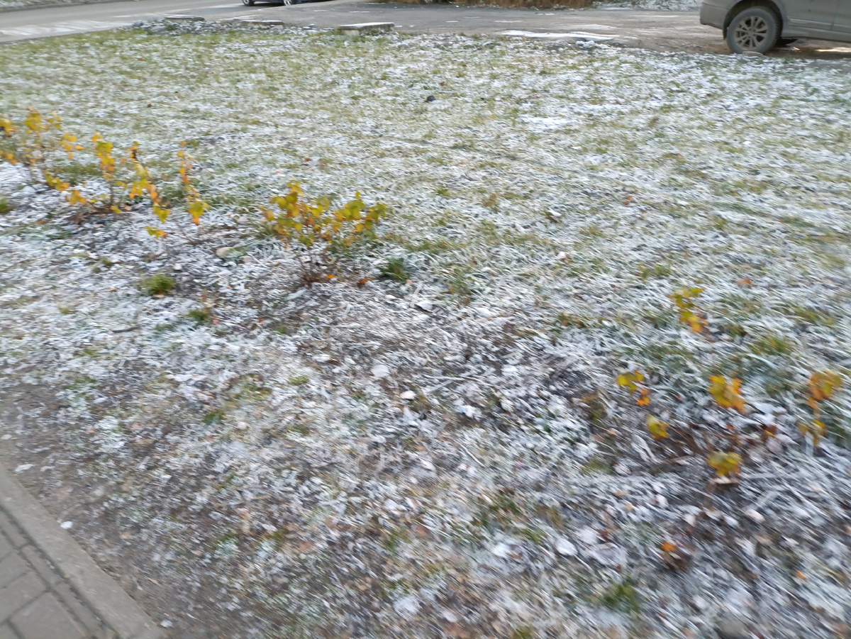 А так было во вторник