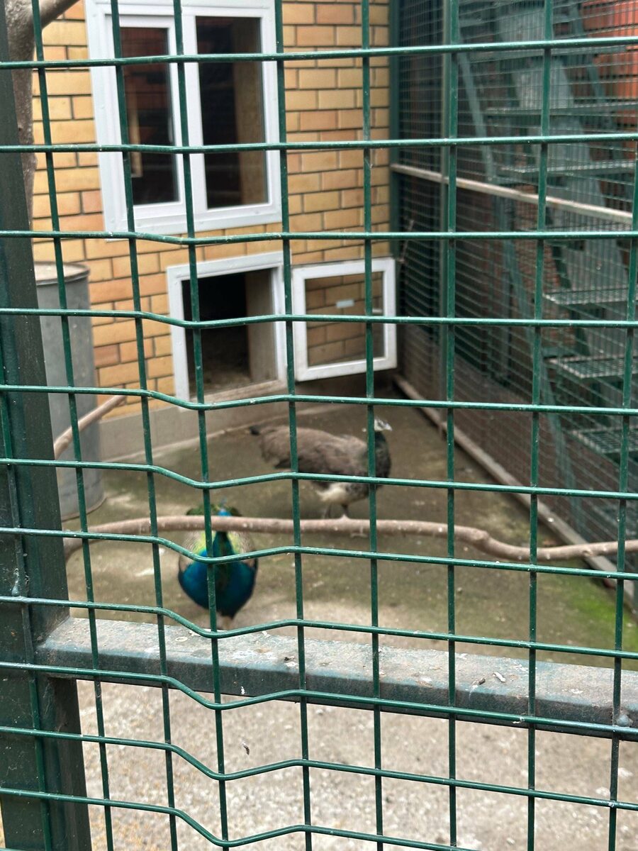 Фото: прокуратура Тукаевского района РТ