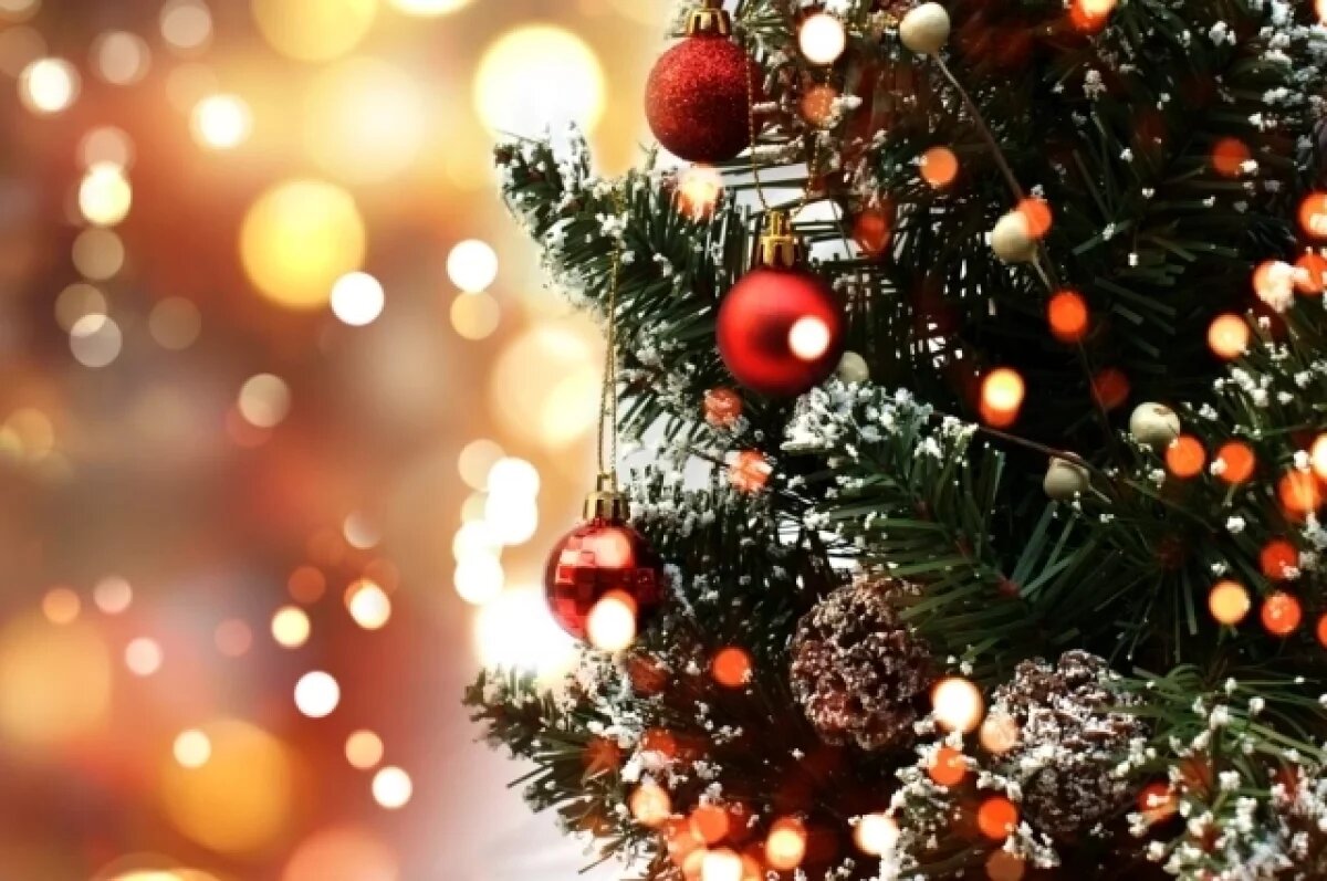    Главной новогодней ёлкой России станет 26-метровое дерево из Подмосковья