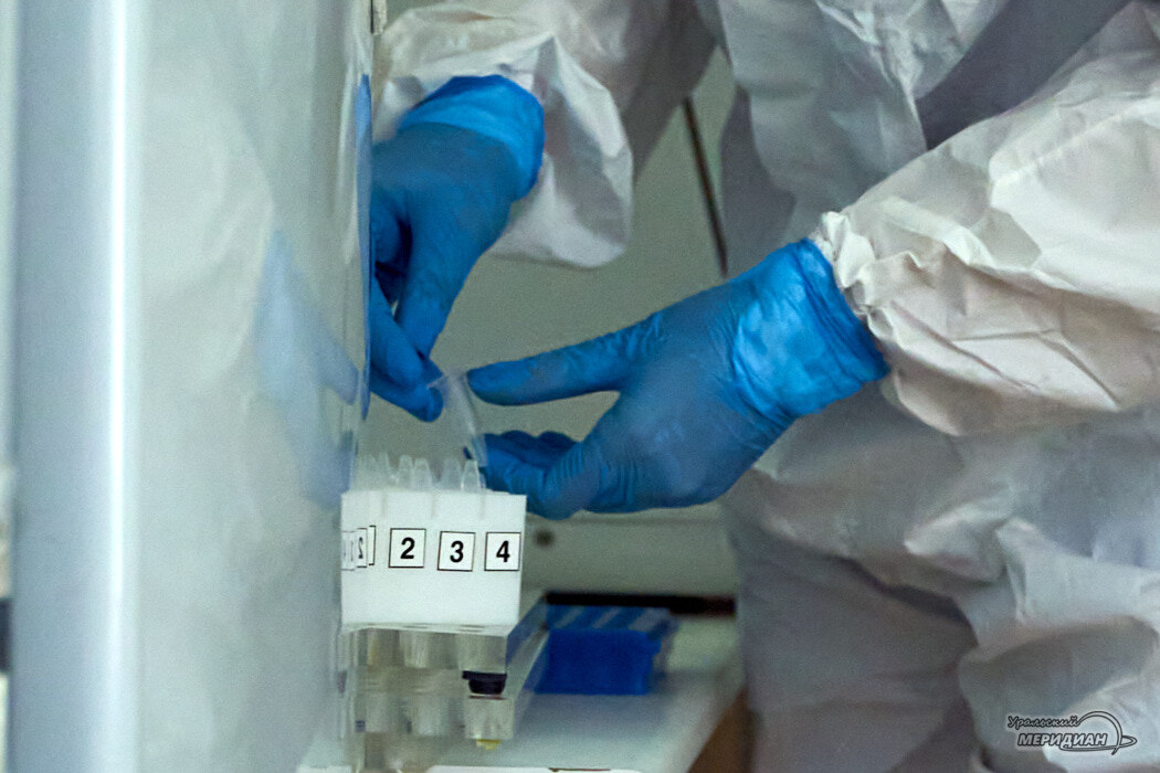    Фото Лидия Аникина © ИА «Уральский меридиан»