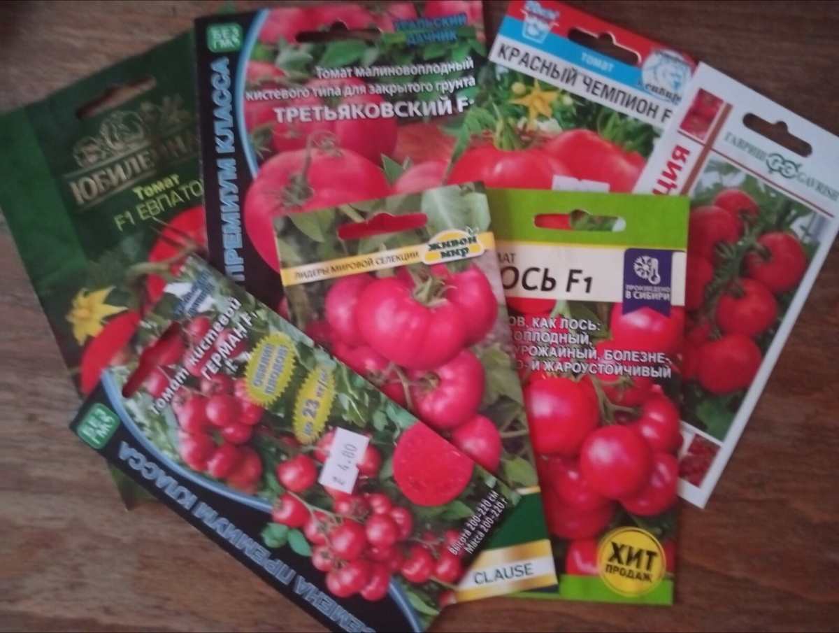 Выбор моих соседей по даче 