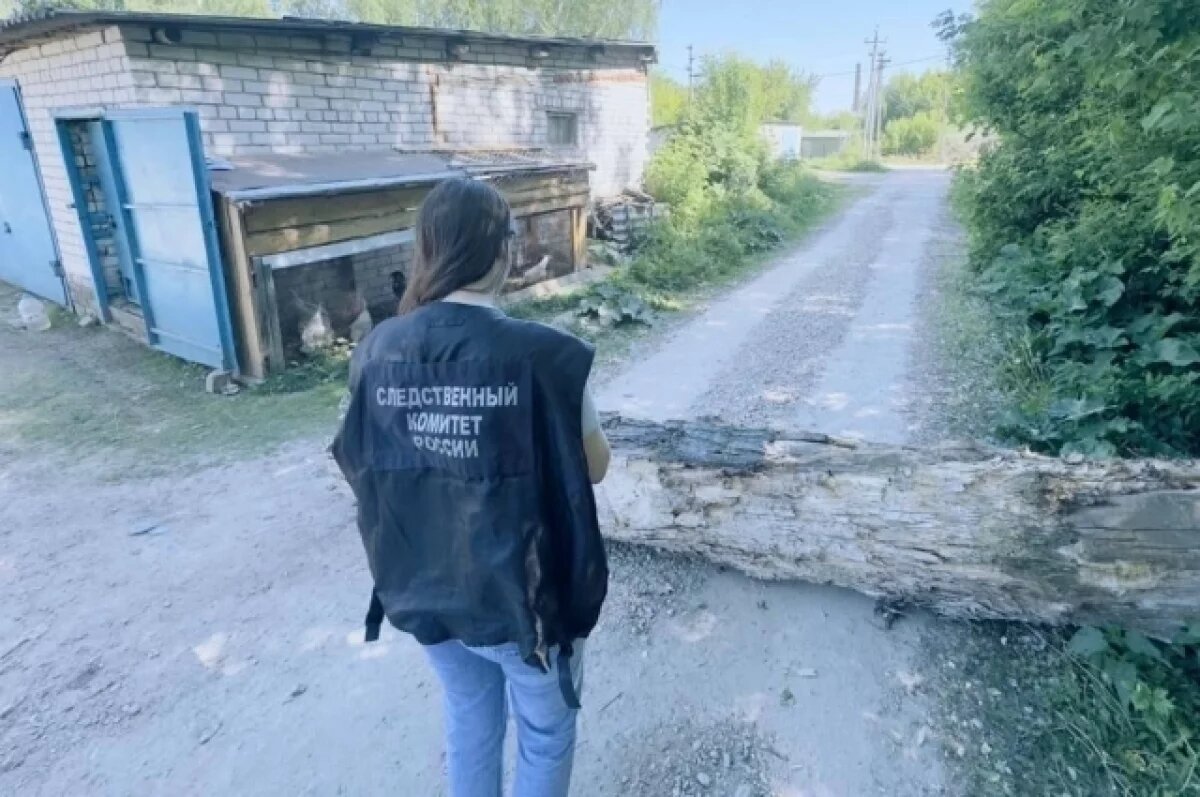    В суд передали дело о смерти нижегородца из-за упавшего дерева