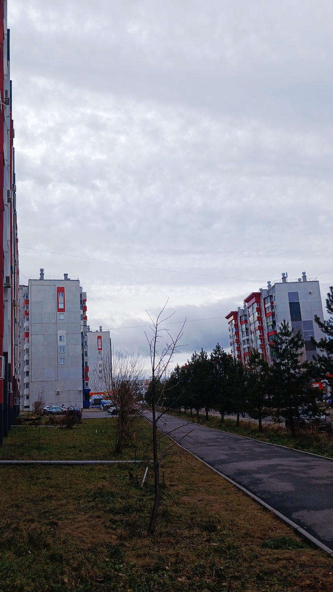 "Доброе утро, мир! Ты прекрасен!" Фото автора