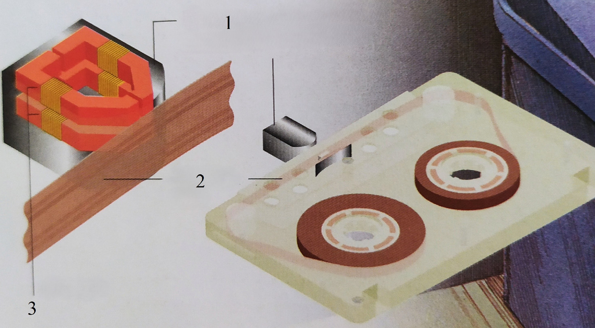 1 - записывающая/воспроизводящая магнитная головка, 2 - магнитная лента, 3 - магниты