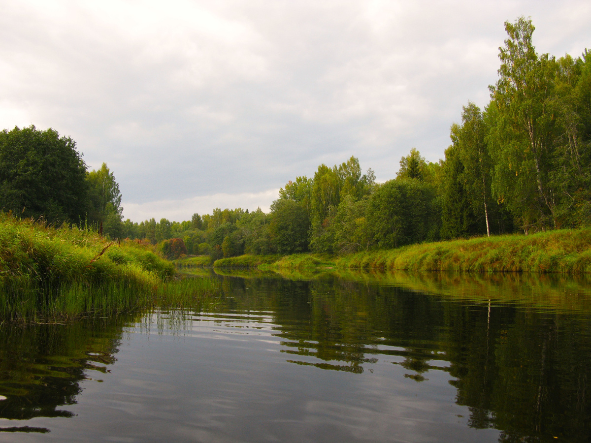 Капша недалеко от деревни Олончено.