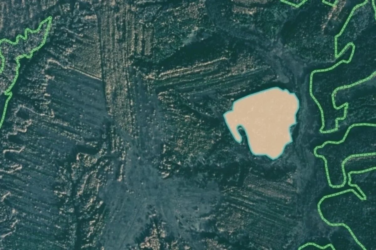    В Удмуртии через суд добились возвращения 11 га леса государству