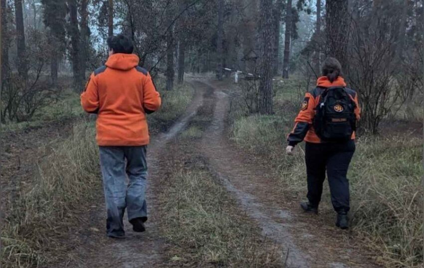    Лиза Алерт.