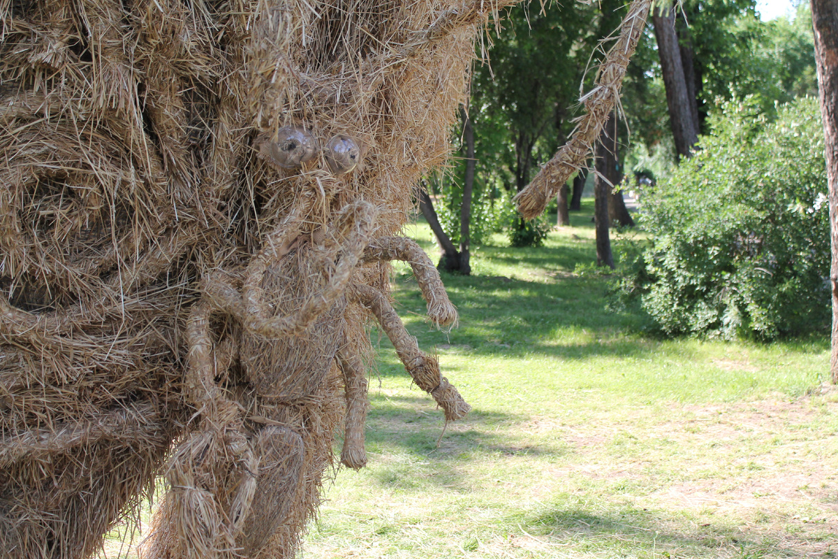 Фото Артема Илошваи, dzen.ru