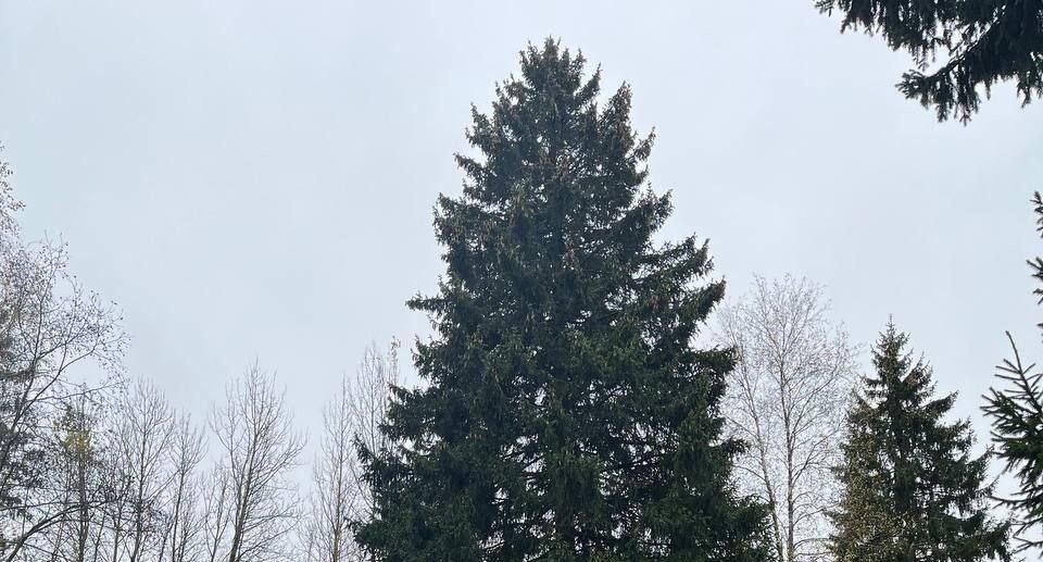    Пресс-службы Управления делами Президента Российской Федерации