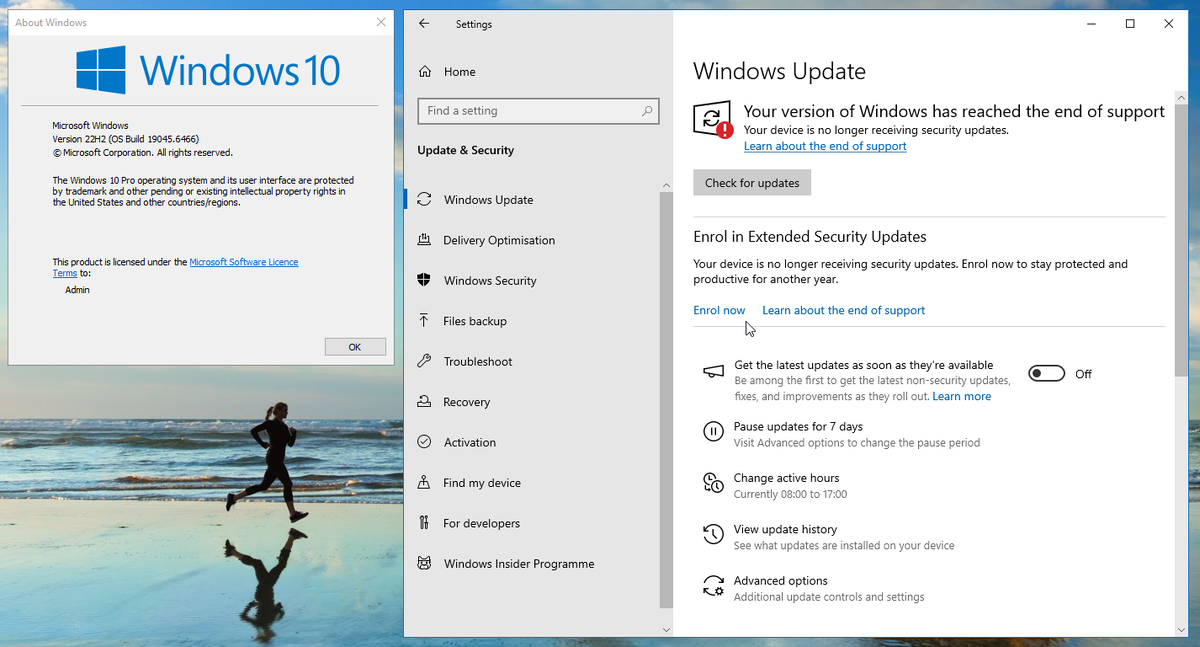 Windows 10 22H2 (Build 19045.6466) со ссылкой на вступление в программу ESU.
