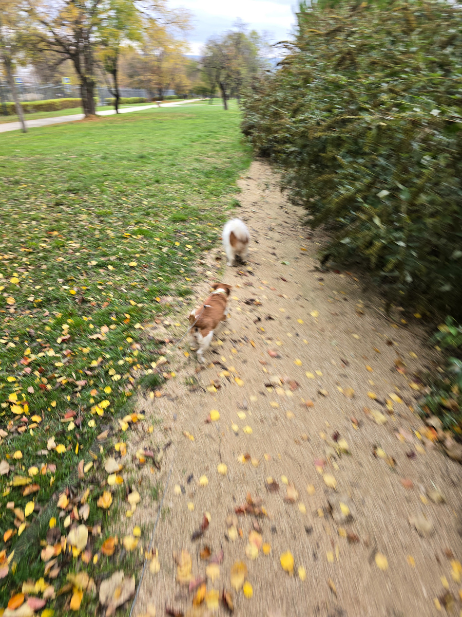 Вместе весело шагать...