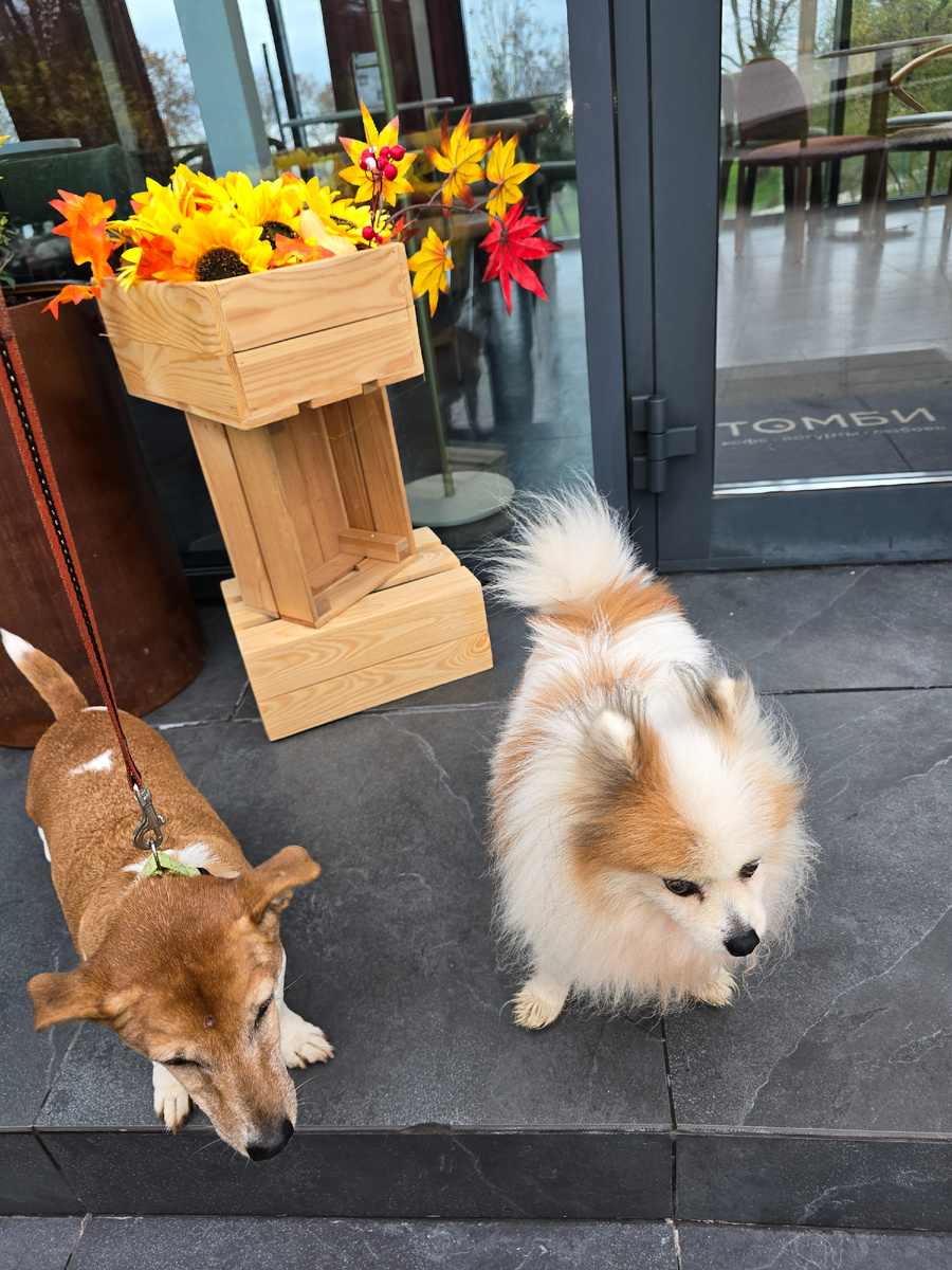 Когда семейная фотосессия не удалась😆