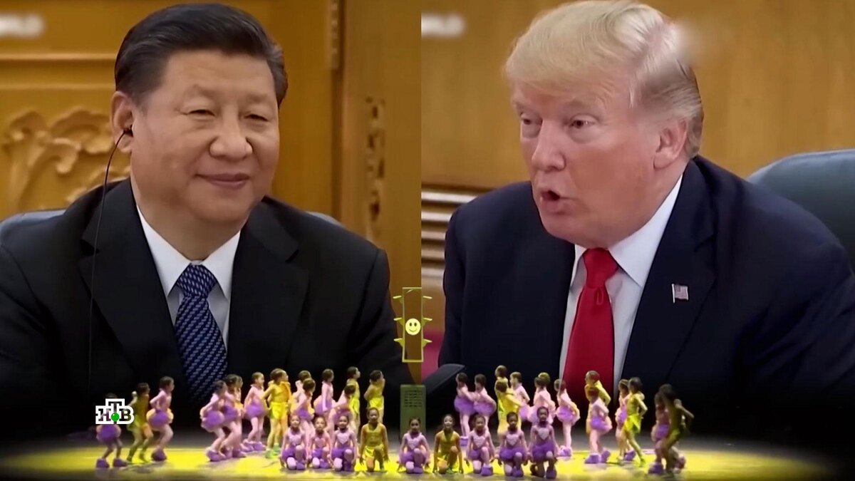    Как вирусный танец зайцев и черепах стал отражением мировой политики