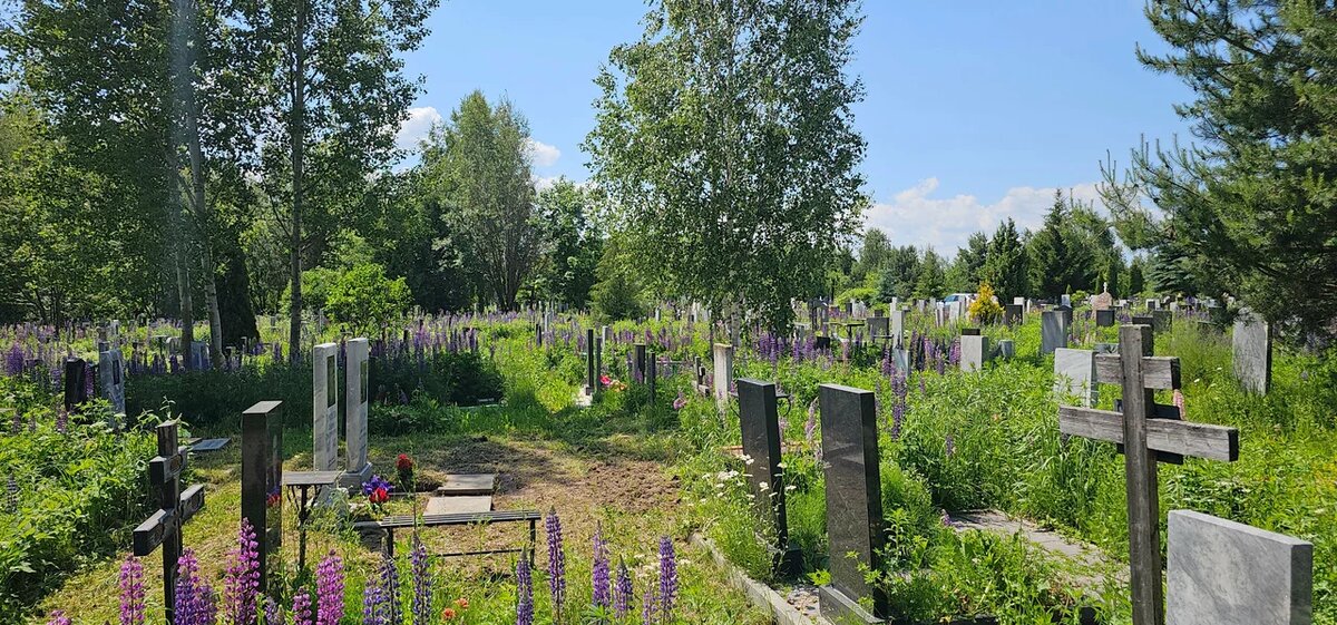 Телефон Ново-Стригинского кладбища: 89692018813