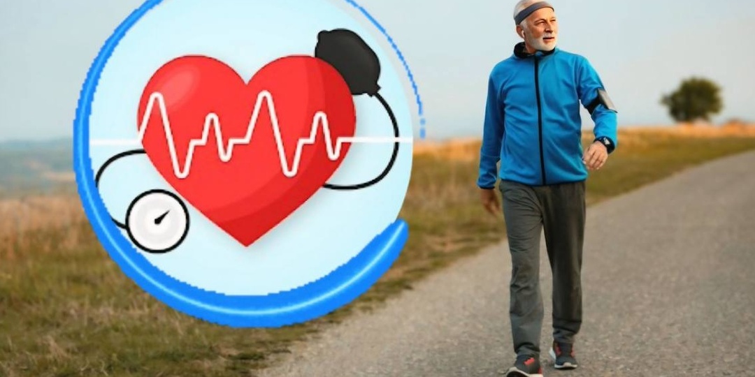 Какая ходьба полезна для сердца: как превратить прогулку в терапию для мозга и сосудов