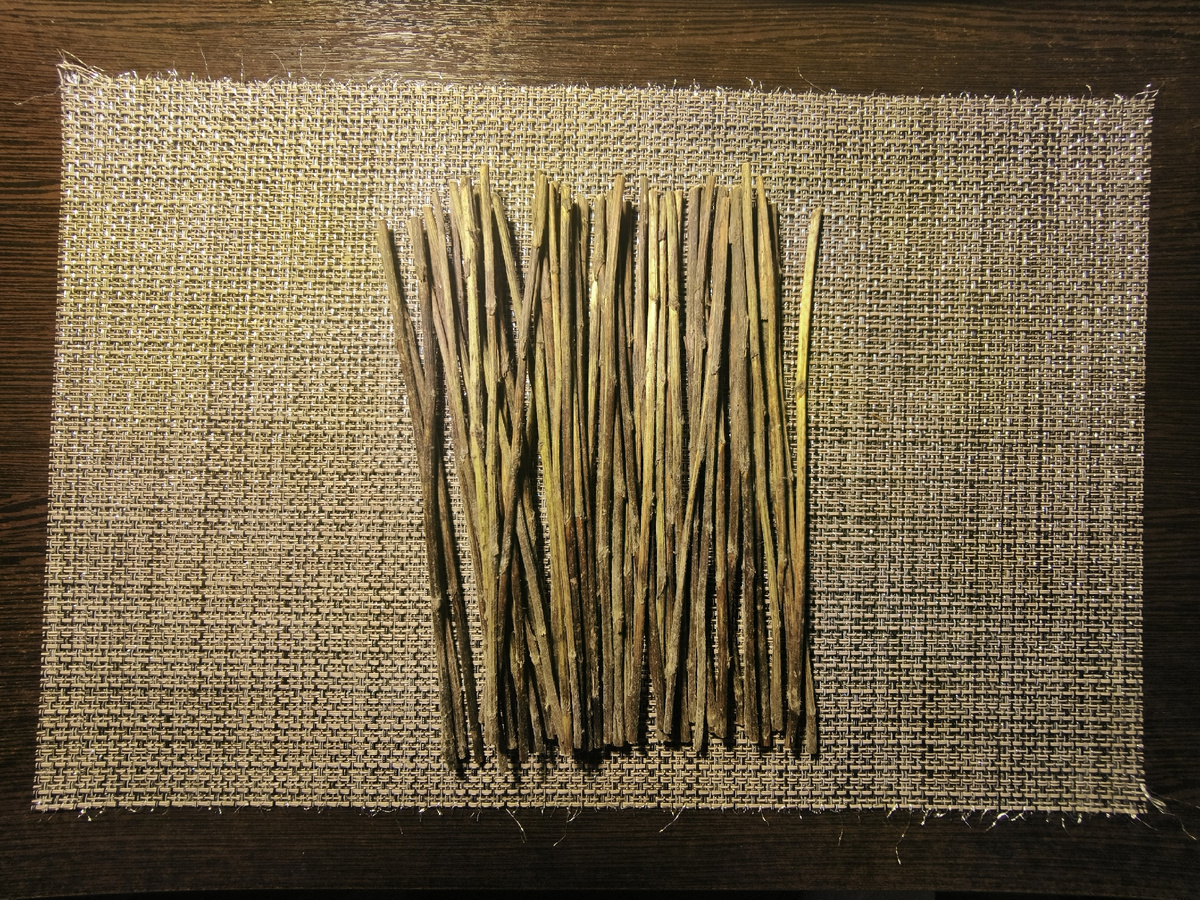 Мои 50 стеблей тысячелистника для гадания.