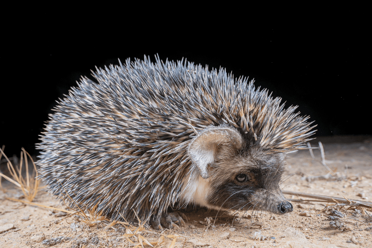 Фотография из интернета