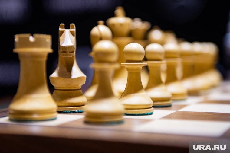     Шахматный турнир в Совфеде закончился со счетом 13:12 в пользу сенаторов