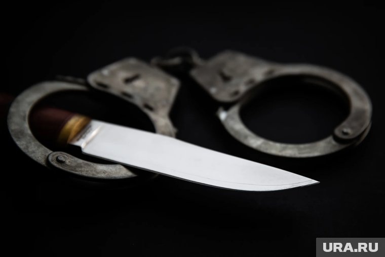     Предварительно, сын нанес матери не менее восьми ударов ножом