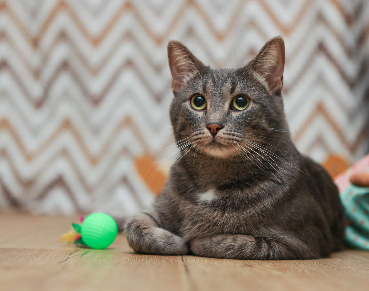 Намудрили то! Проще нельзя гнаписать? Люблю обнимашки