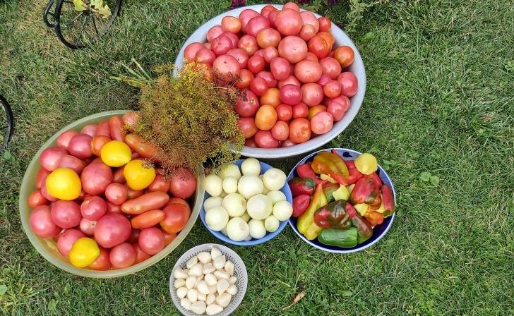    фото Курские известия