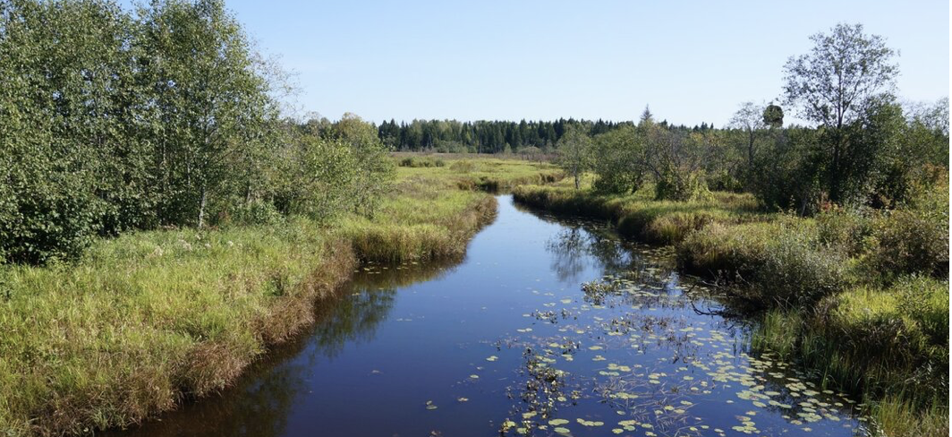 Река Молокша