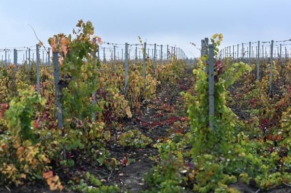    РИА «Новости»