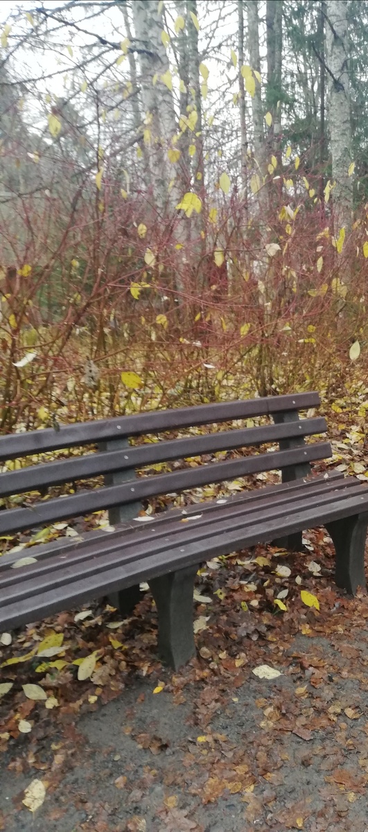 Посидим поохаем