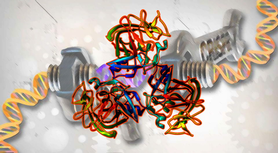   N + 1; Picryl / Public Domain; Goultard59 / Wilkimedia Commons / CC BY-SA 4.0