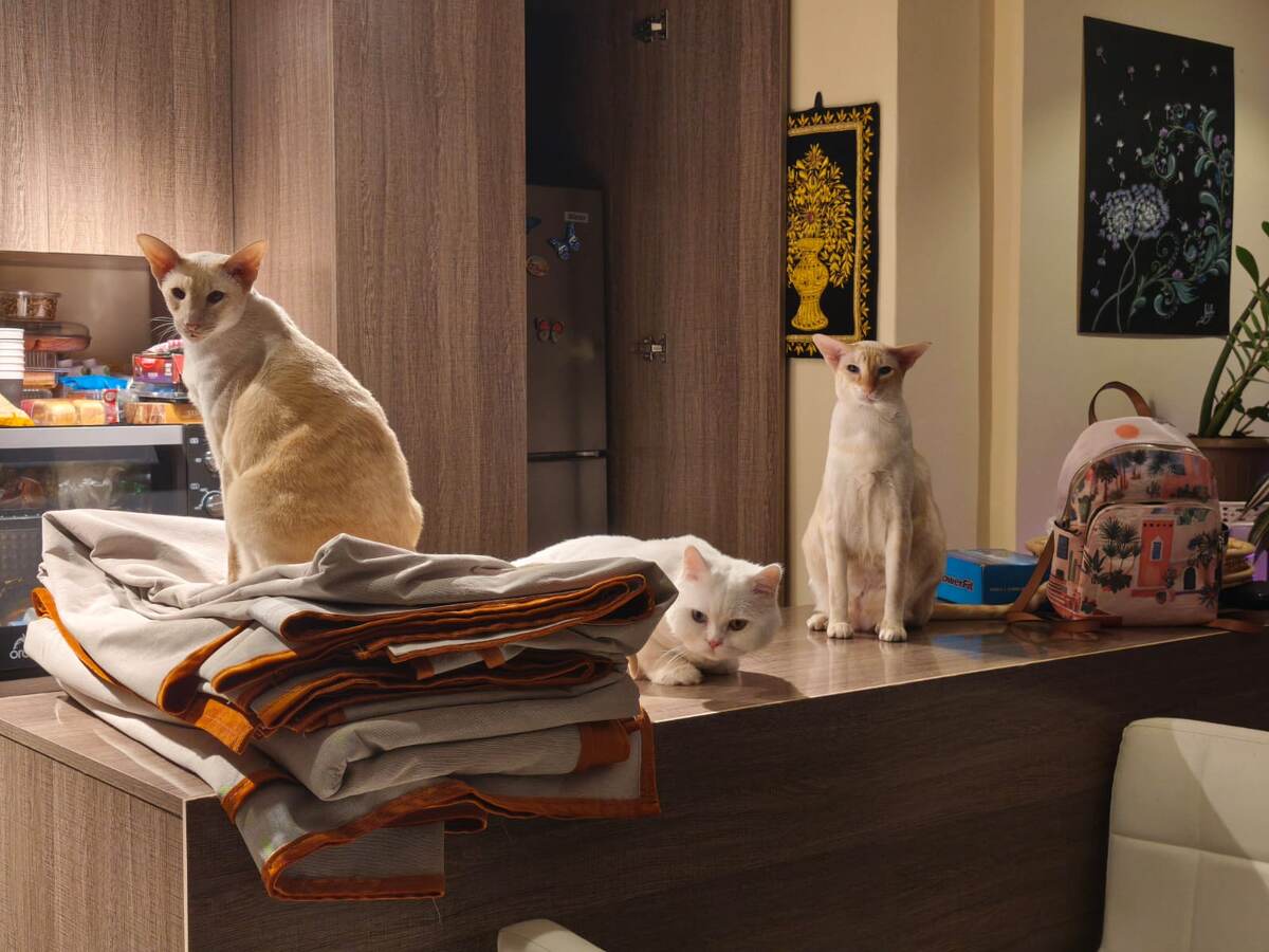 Три брата-акробата в ожидании ужина (фото из личного архива)