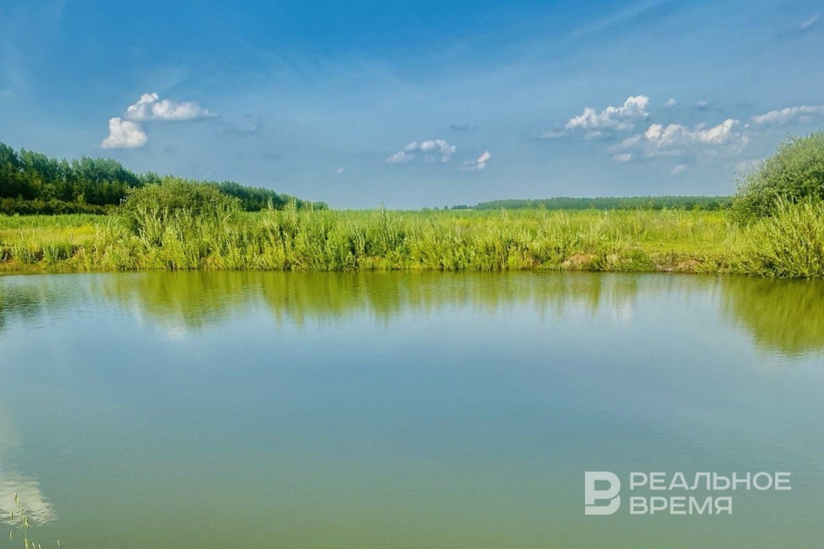   Реальное время / realnoevremya.ru