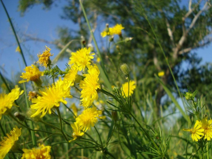Лето, 2011 года и кусочек моего -хобби,  родители подарили мне фотоаппарат на день рождения и я стала много гулять и фотографировать. Пошла на курсы по фотографии, познакомилась с такими же увлеченными людьми с камерами … и я до сих пор фотографирую, хоть и редко. Единственное моё хобби, которое со мной много лет. Остальные приходят и уходят.