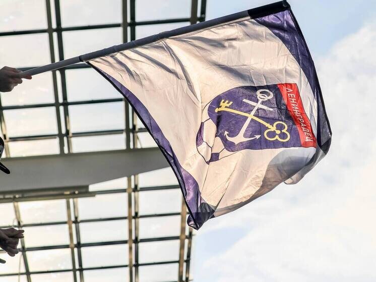     Фото: телеграм-канал ФК «Ленинградец».