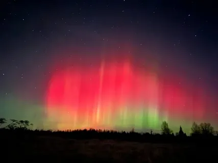 Ленинградская область