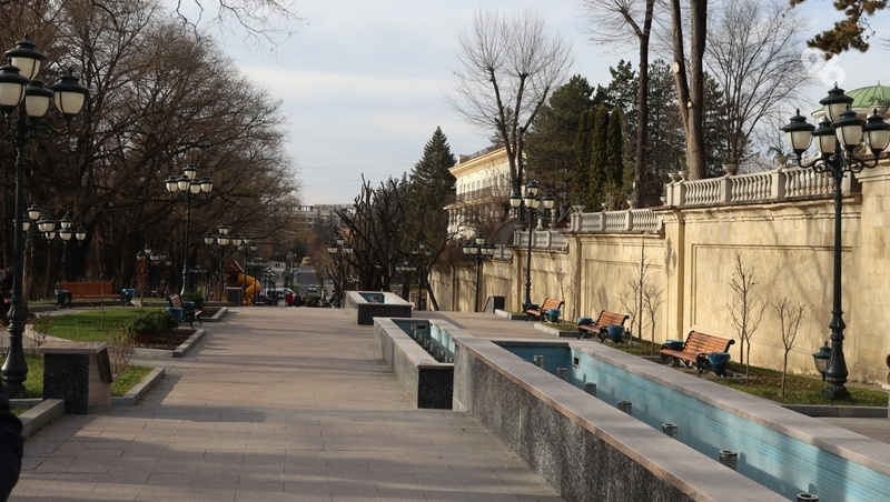      Фото: ИА «Победа26»