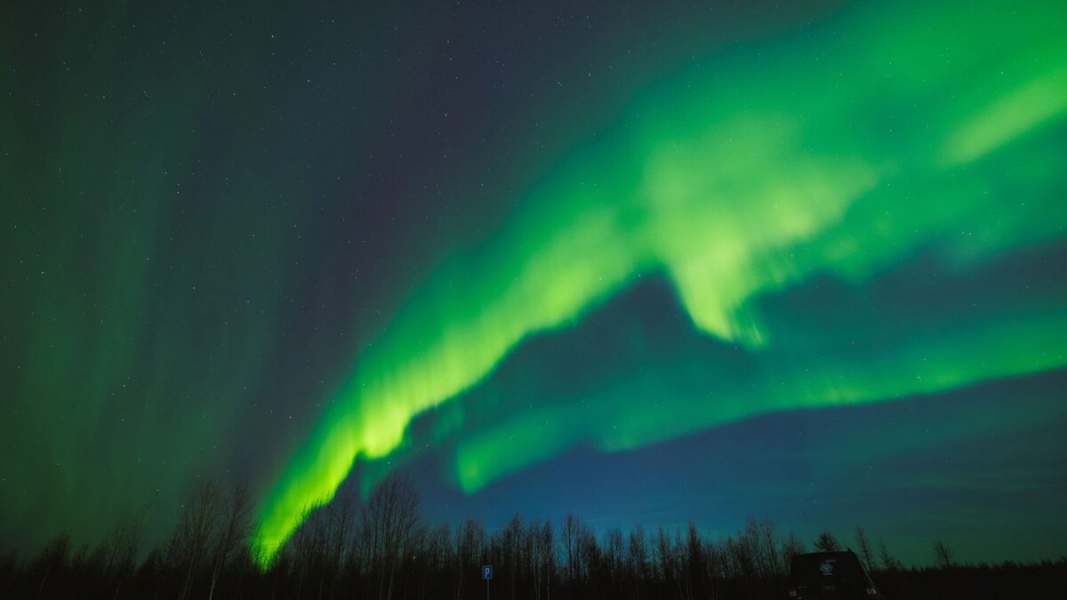    Фото: Юлия Чудинова / «Ямал-Медиа»