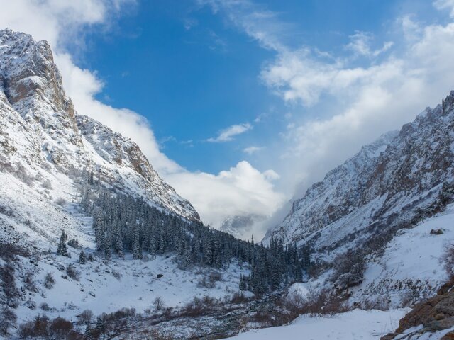    Фото: 123RF.com/djusha