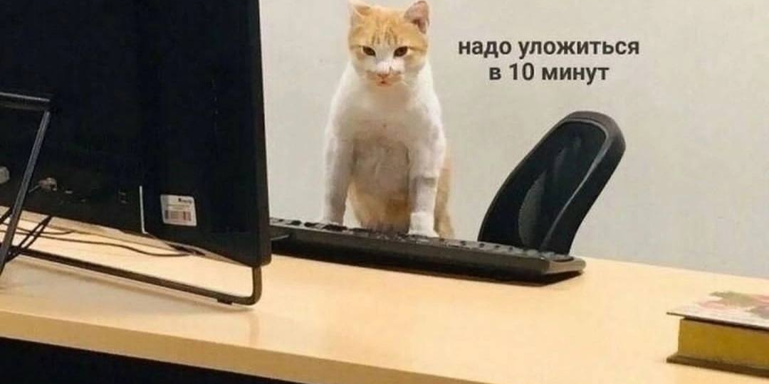 За какие софты мы ценим редакторов