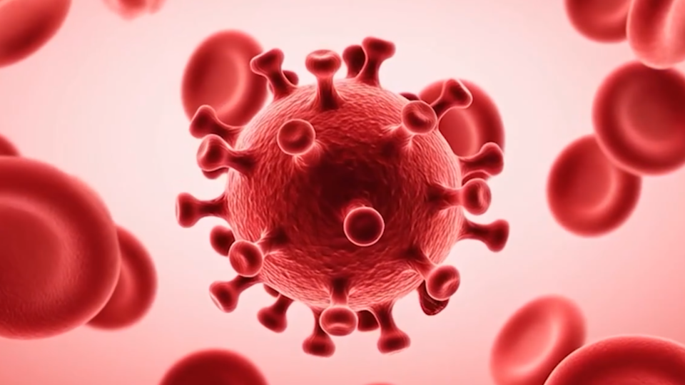 ФОТО: Кадр из программы "Как устроен мир", РЕН ТВ