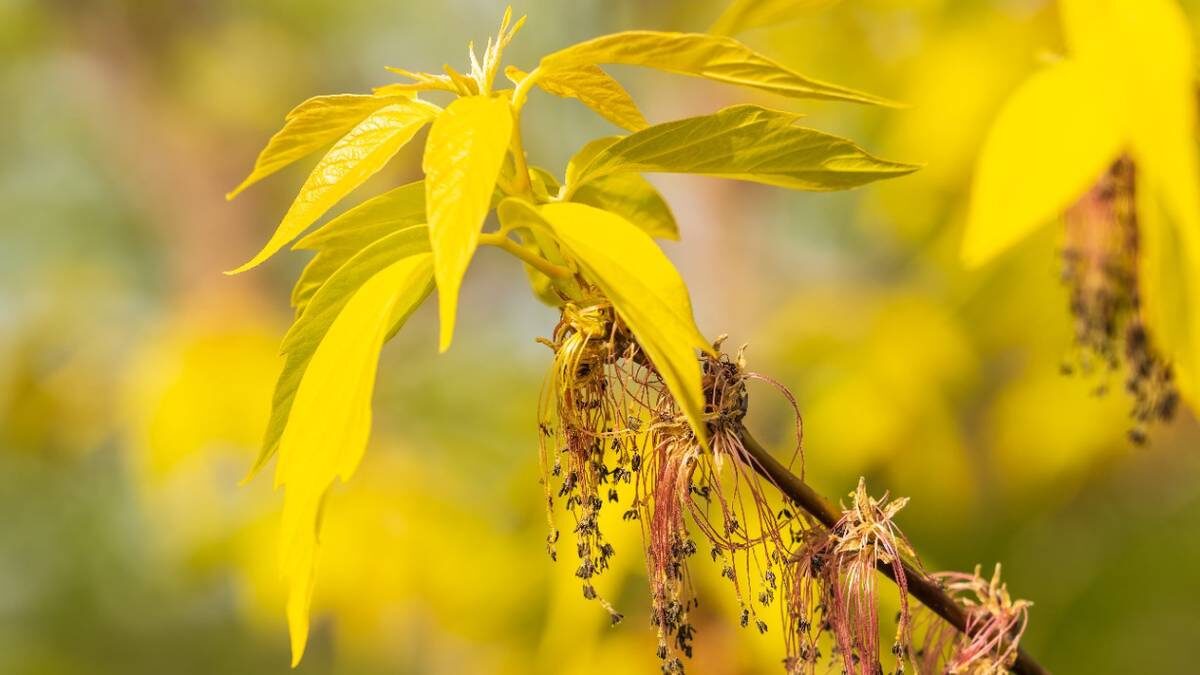    Фото: Shutterstock